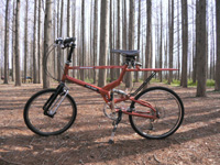 mizumoto5