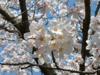 060407-2.jpg