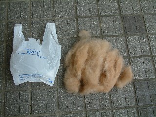 060714-3.jpg
