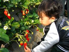 sizuoka 003　加工.JPG