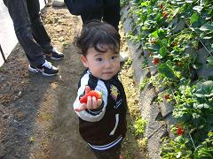 sizuoka 004　加工.JPG