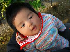 sizuoka 007　加工.JPG