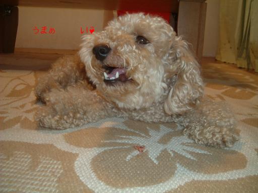 うまぁ～～い♪