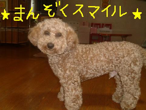 まろん 279.JPG