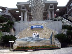 美ら海水族館.JPG