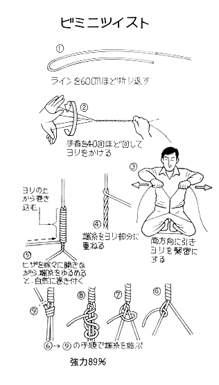 ビミニツイスト 釣りとバイクとオンガクと 楽天ブログ