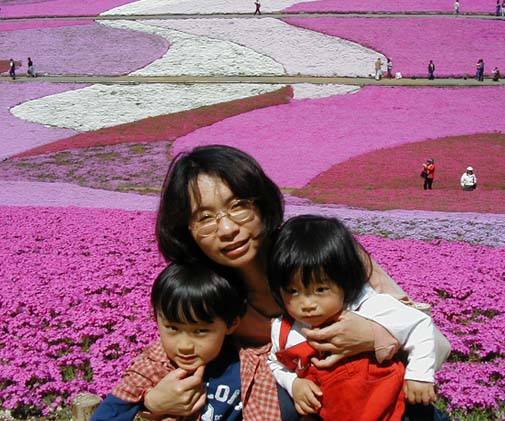 芝桜.jpg