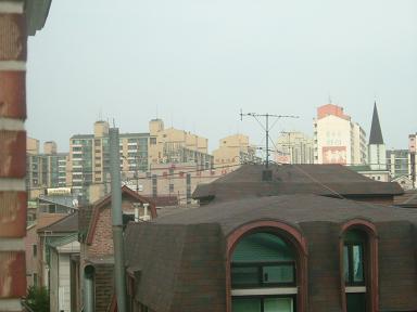 紫遭 1320.jpg