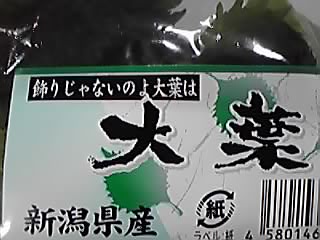 やっぱ明菜？