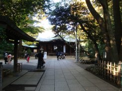 氷川神社1