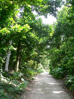 P1030701.jpg