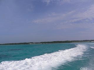 P1030706.jpg