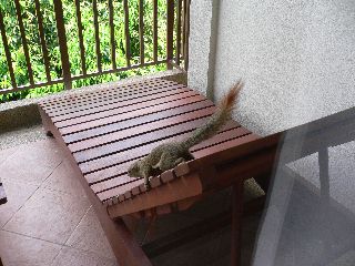 P1020528.JPG