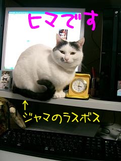 407