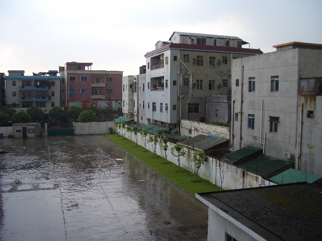 雨止みました＞＜