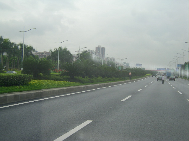 緑の多い道路１