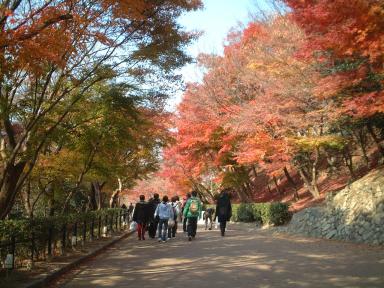 紅葉