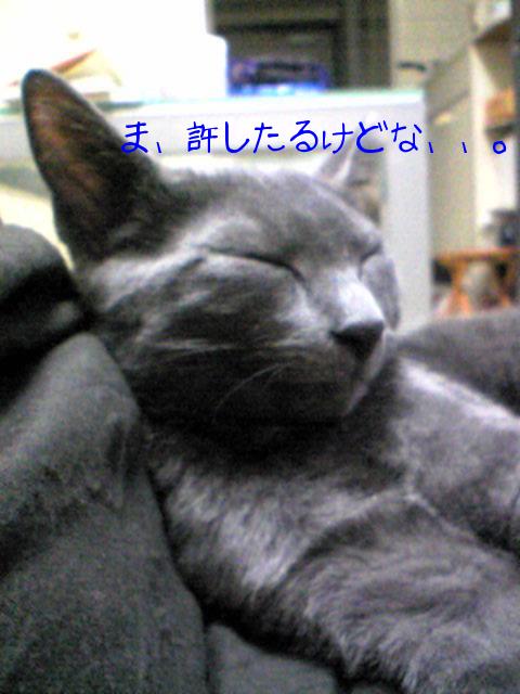 あー、しんど。