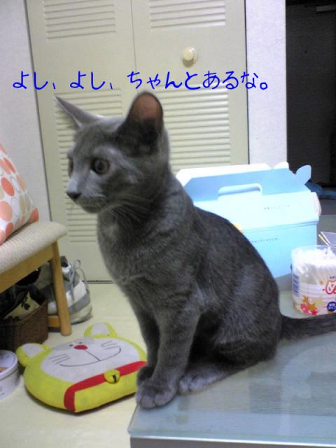 ヨシコさん確認。１