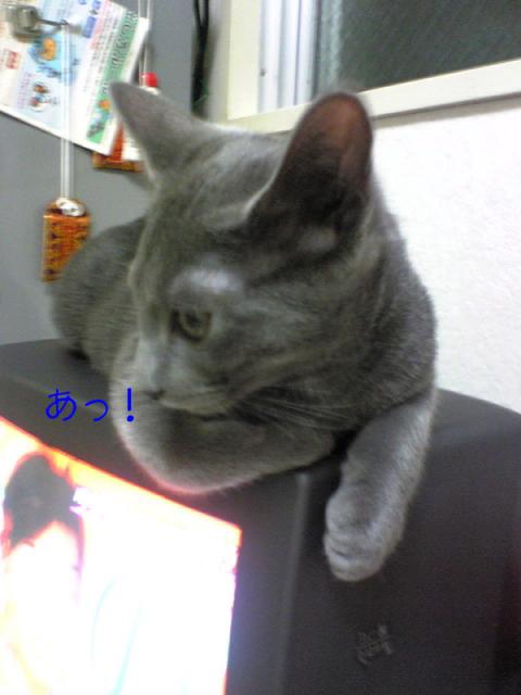 ヨシコさん確認。２