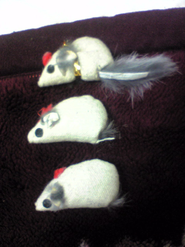 しっぽがないです。