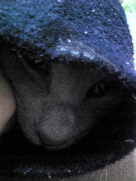 早よ出せやー！！