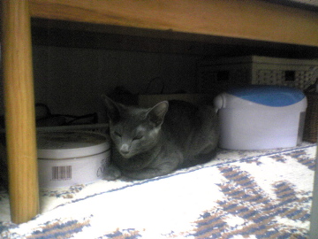 いじけてるの？