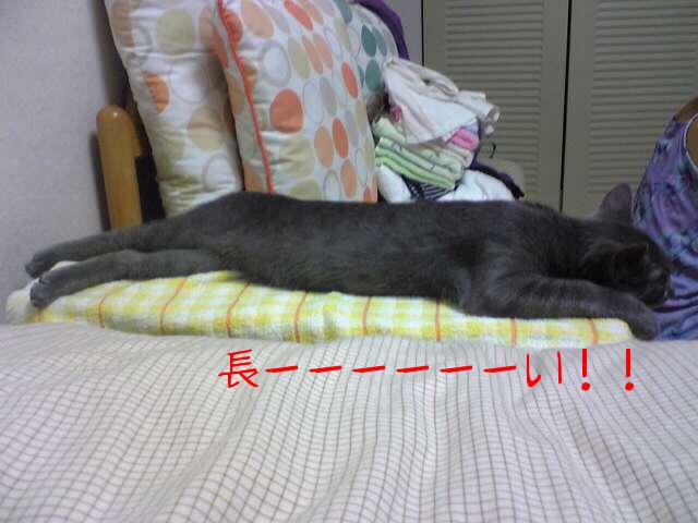 オイルヒーターon竜太朗