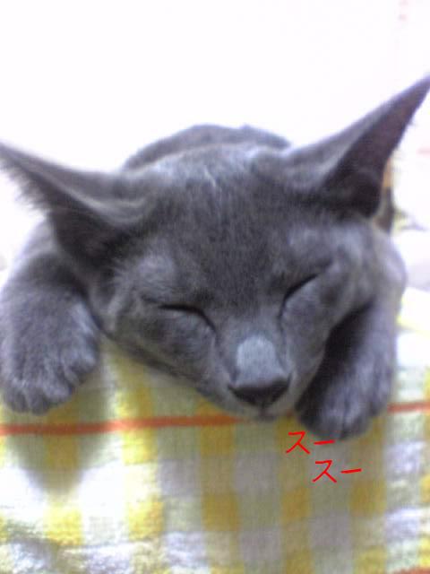 気持ちいい！！