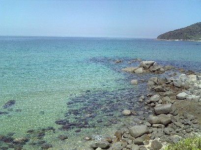 糸島半島の海