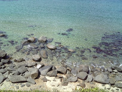 糸島の海