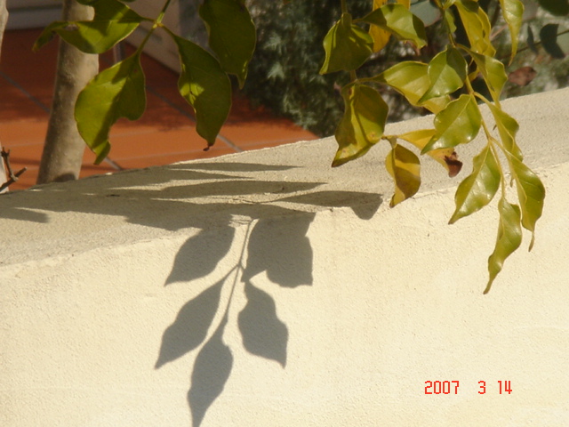 DSC04323.JPG