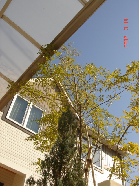 DSC04319.JPG