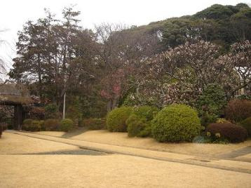 芝庭から城山公園が見える