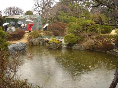 再び池庭