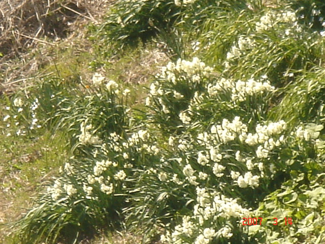 DSC04307.JPG