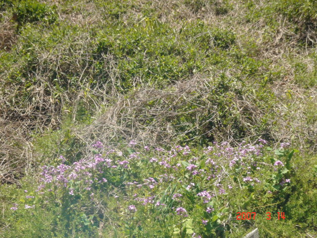 DSC04308.JPG