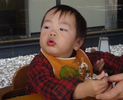 DSC02992.JPG