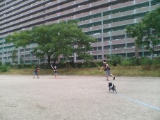 野球