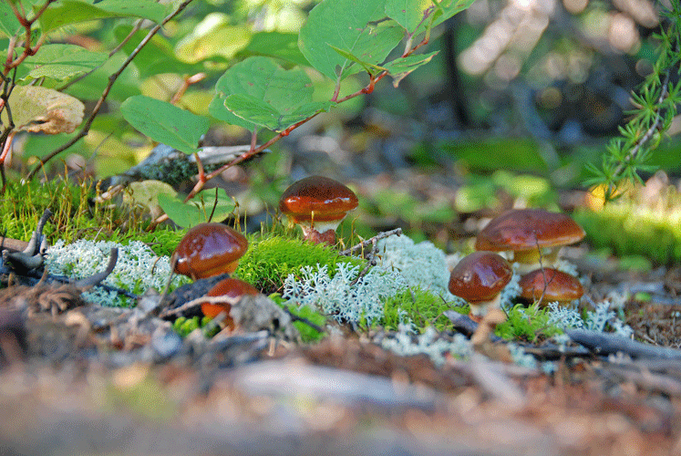 80923ハナイグチ