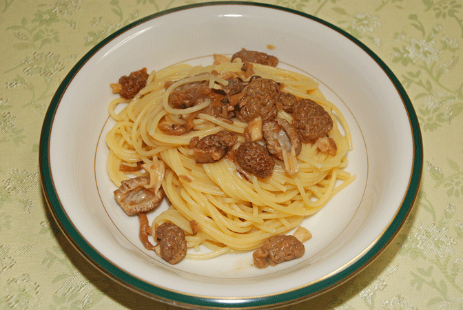 90315アミガサタケパスタ