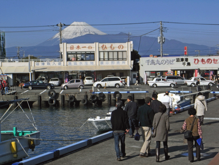 91206沼津港