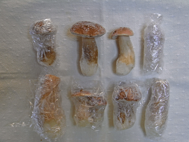 90816冷凍ﾔﾏﾄﾞﾘﾀｹ