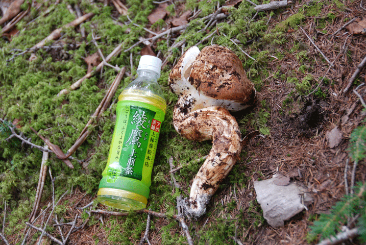 90919松茸ボトル