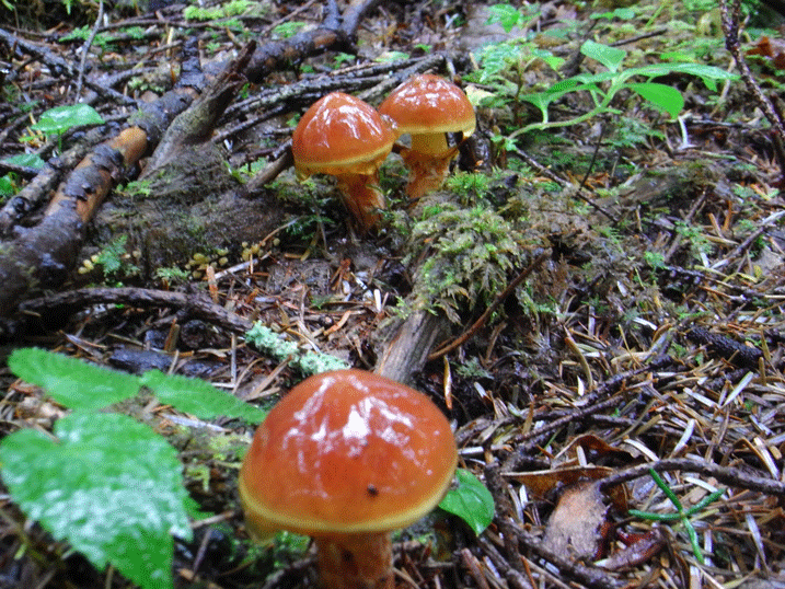 91002ハナイグチ