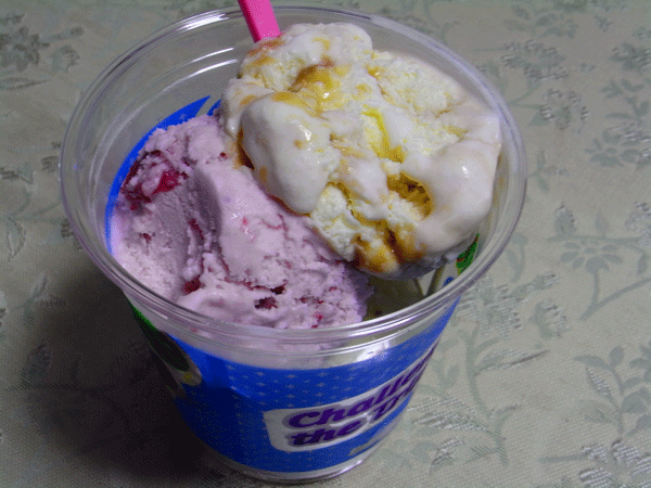 90704ｱｲｽｸﾘｰﾑ