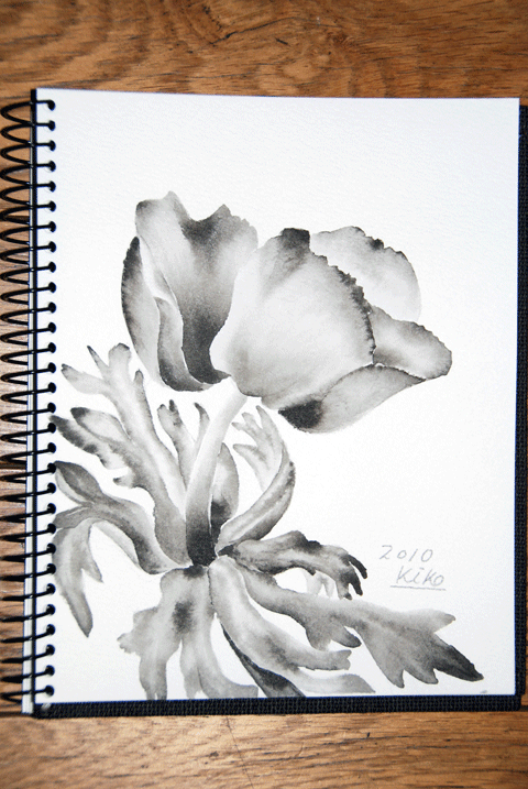 100208墨絵ｱﾈﾓﾈ