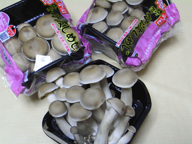 90812ﾊﾀｹｼﾒｼﾞ