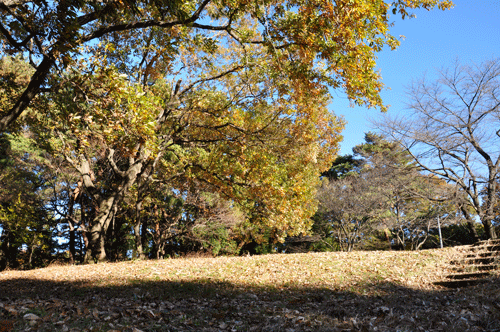 111204公園2