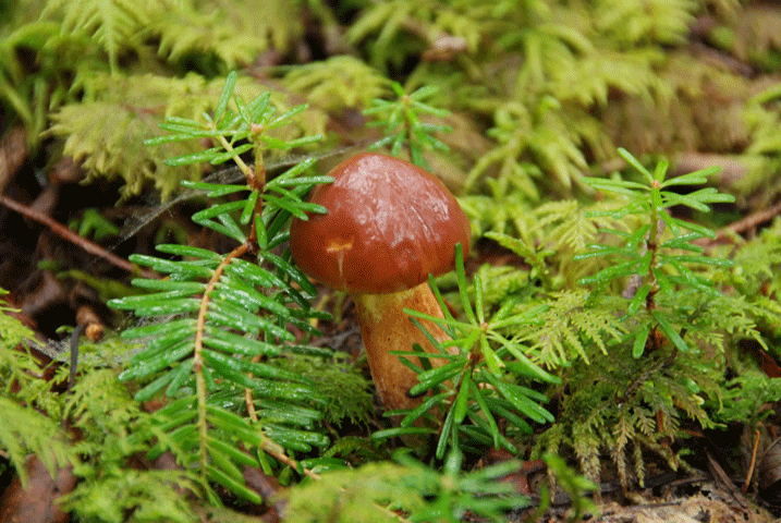 90903ハナイグチ